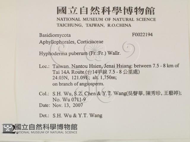 登錄號:F0022194藏品圖，第2張