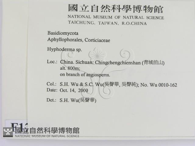 絲皮菌屬藏品圖，第2張