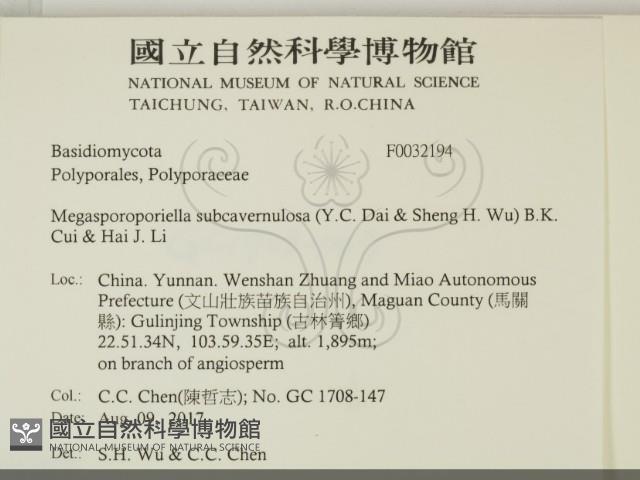 登錄號:F0032194藏品圖，第2張