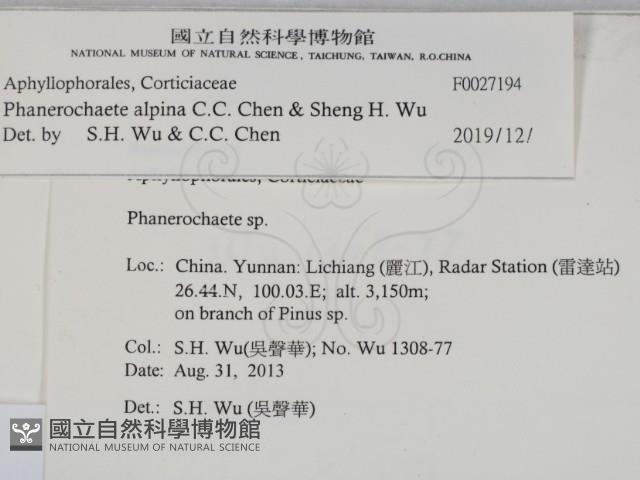 登錄號:F0027194藏品圖，第2張