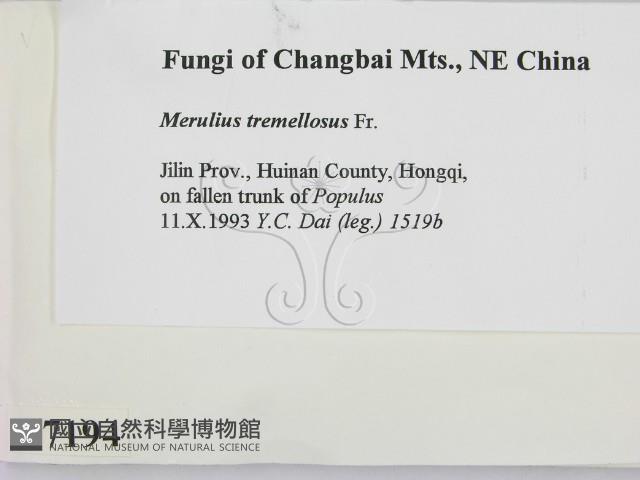 登錄號:F0007194藏品圖，第2張