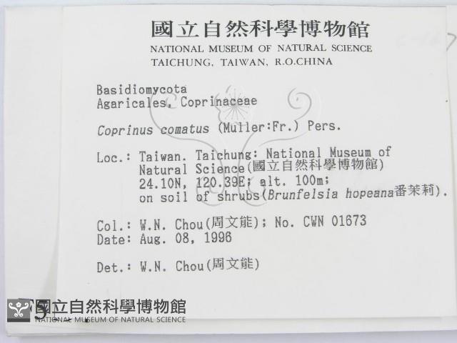 登錄號:F0005194藏品圖，第2張