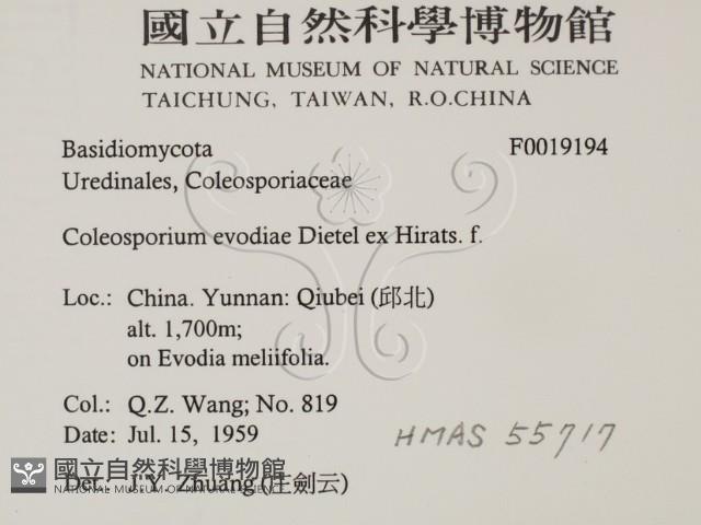 登錄號:F0019194藏品圖，第2張