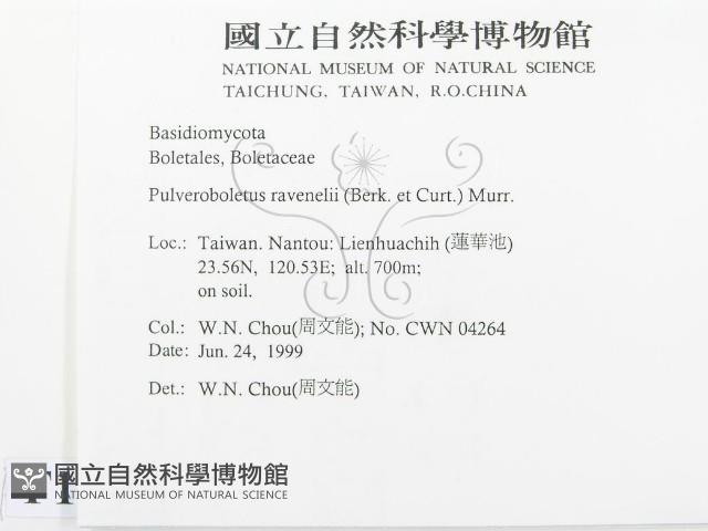 登錄號:F0013194藏品圖，第2張