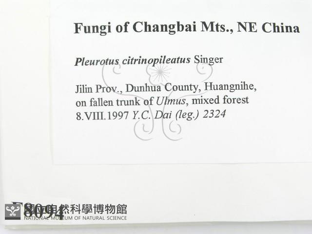 登錄號:F0008094藏品圖，第2張