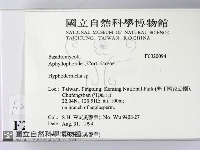 登錄號:F0020094藏品圖，第2張