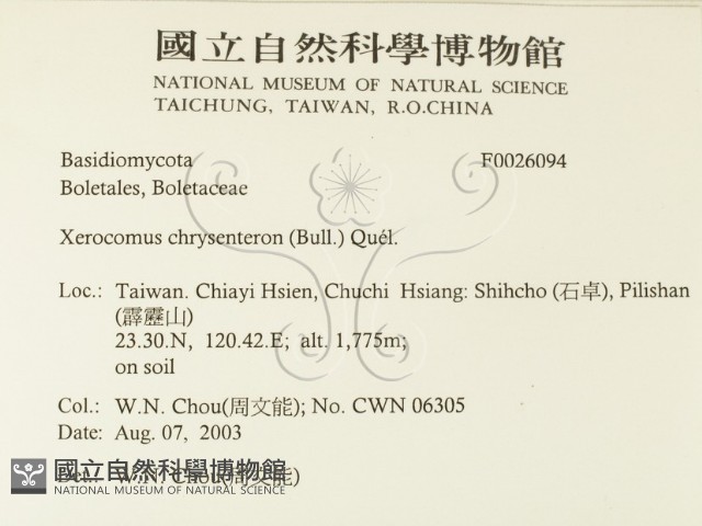 登錄號:F0026094藏品圖，第2張