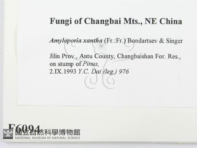 登錄號:F0006094藏品圖，第2張