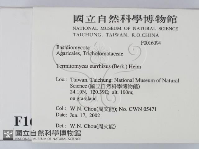 登錄號:F0016094藏品圖，第2張