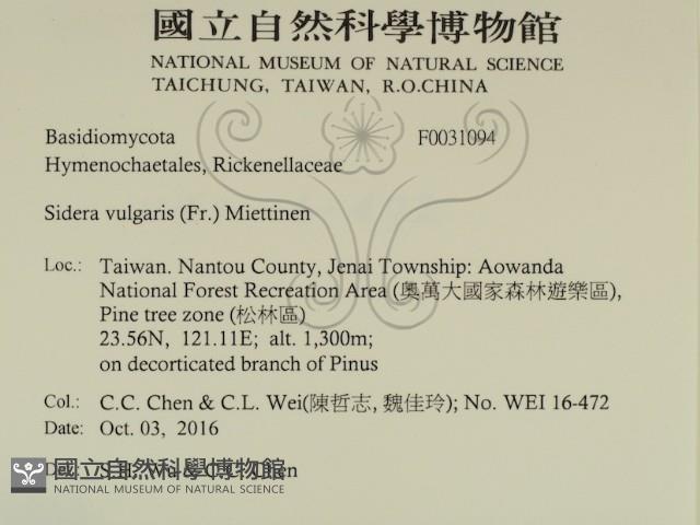 登錄號:F0031094藏品圖，第2張