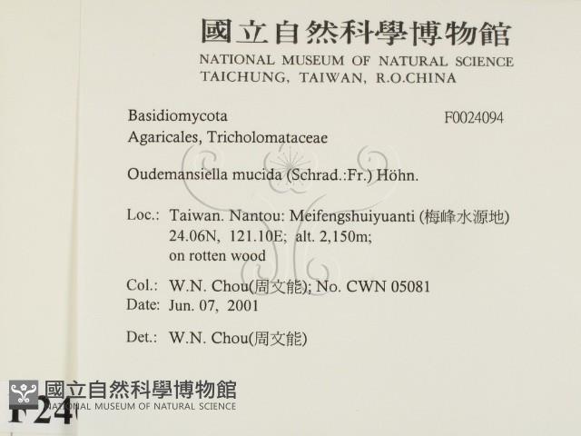 登錄號:F0024094藏品圖，第2張