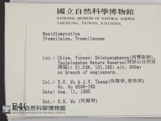 登錄號:F0004094藏品圖，第2張