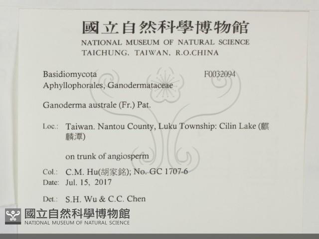 登錄號:F0032094藏品圖，第2張