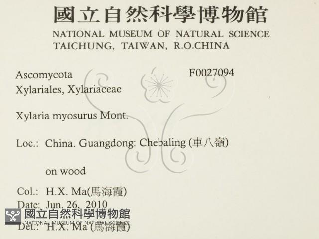 登錄號:F0027094藏品圖，第2張