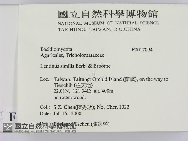 登錄號:F0017094藏品圖，第2張