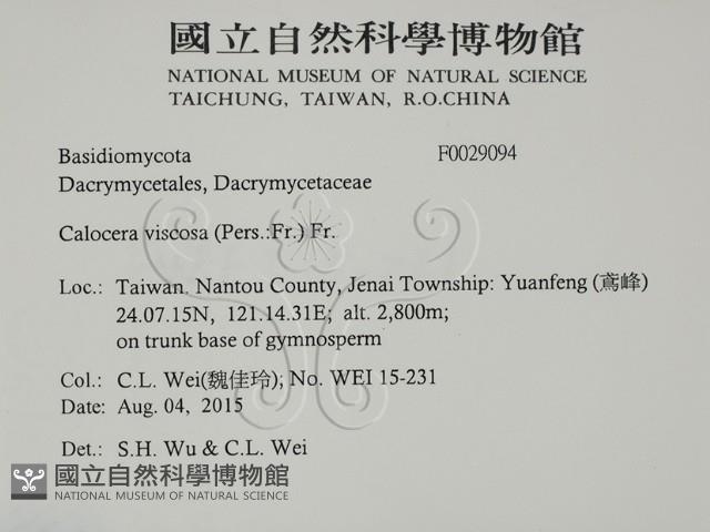 登錄號:F0029094藏品圖，第2張