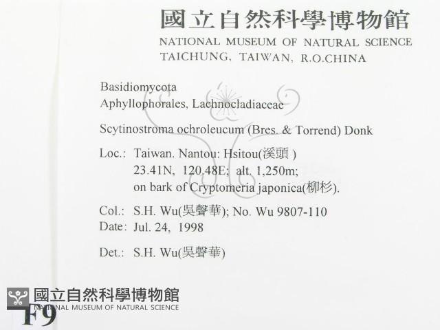 登錄號:F0009094藏品圖，第2張