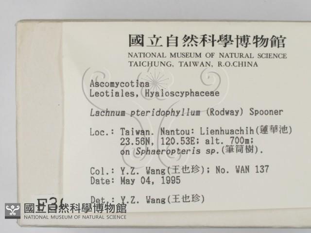 登錄號:F0003094藏品圖，第2張