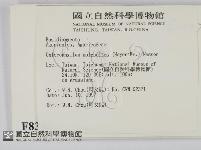 登錄號:F0008394藏品圖，第2張