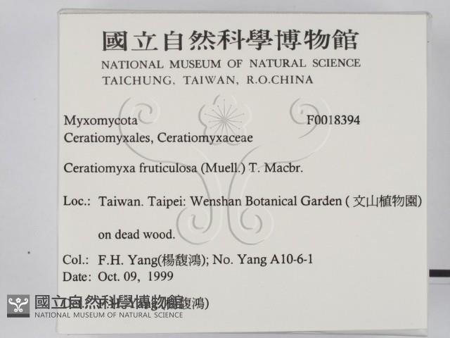 登錄號:F0018394藏品圖，第2張