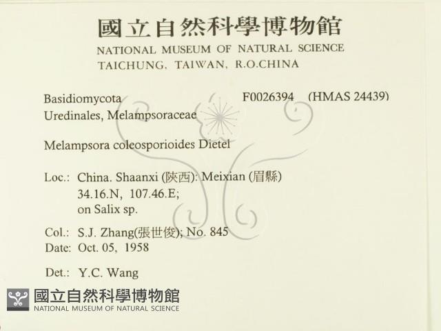 登錄號:F0026394藏品圖，第2張