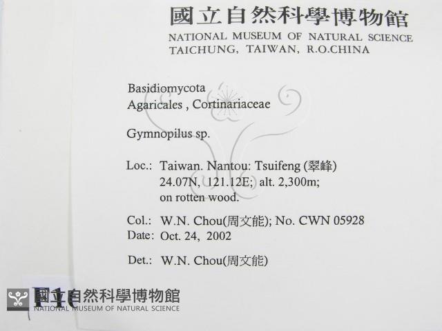 登錄號:F0016394藏品圖，第2張