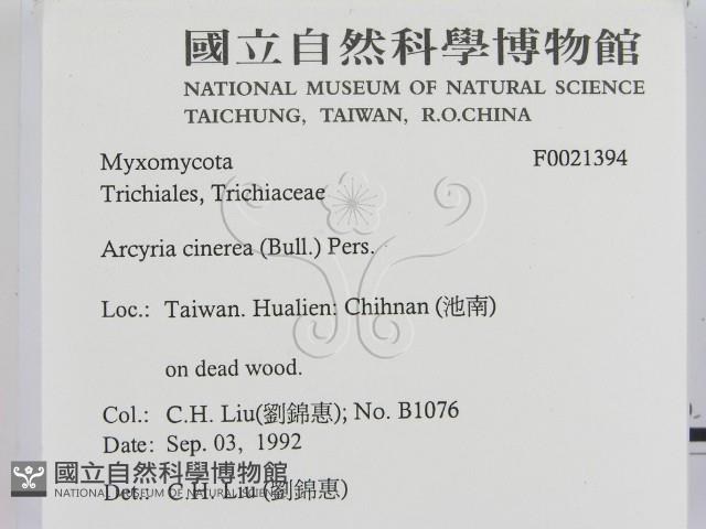 登錄號:F0021394藏品圖，第2張