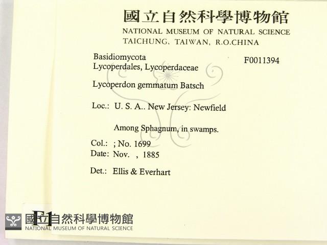 登錄號:F0011394藏品圖，第2張