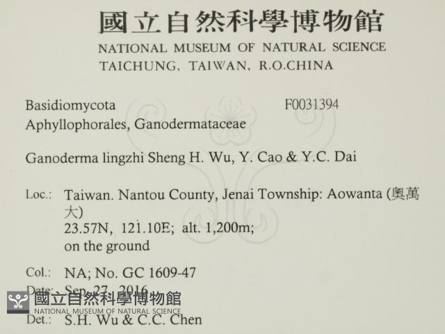 登錄號:F0031394藏品圖，第2張