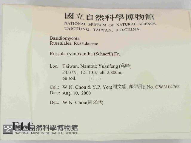 登錄號:F0014394藏品圖，第2張