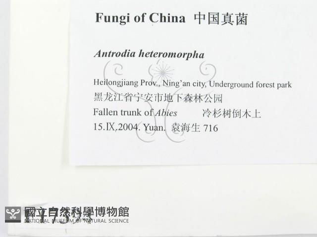 登錄號:F0017394藏品圖，第2張