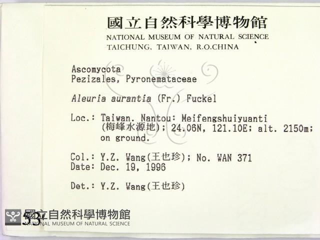 登錄號:F0005394藏品圖，第2張