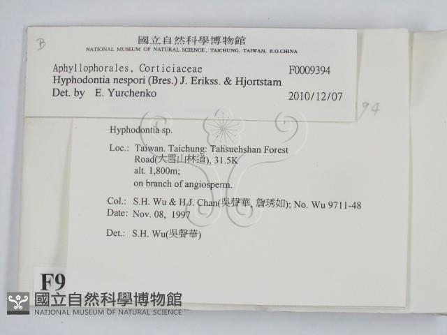 登錄號:F0009394藏品圖，第2張