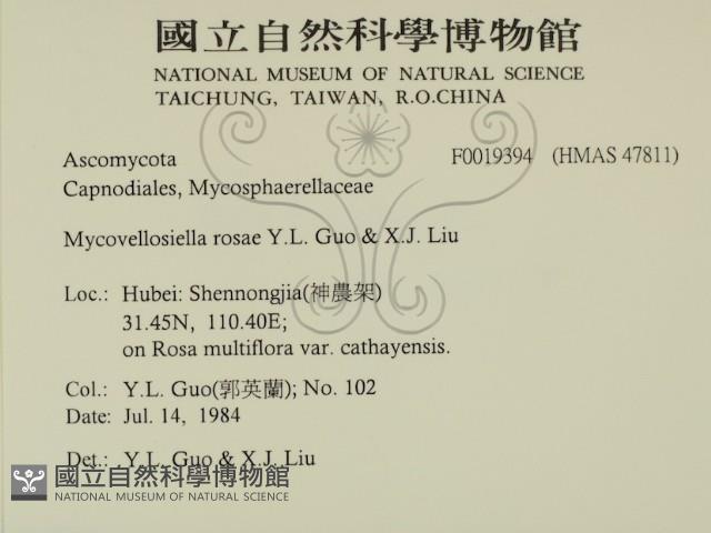 登錄號:F0019394藏品圖，第2張