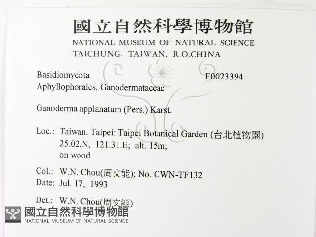登錄號:F0023394藏品圖，第2張