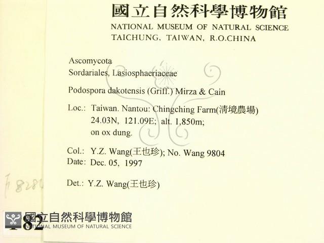 登錄號:F0008284藏品圖，第2張