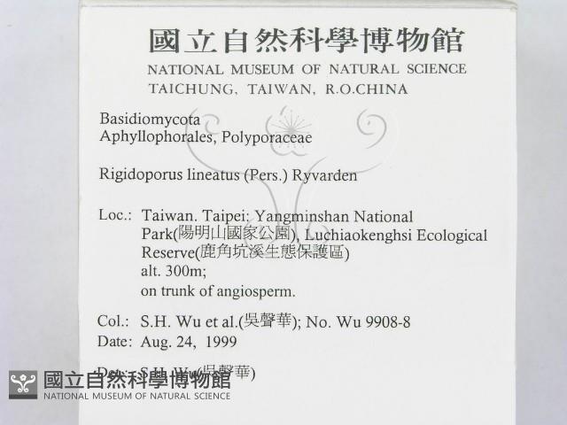 登錄號:F0010284藏品圖，第2張