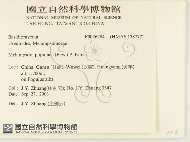 登錄號:F0026284藏品圖，第2張