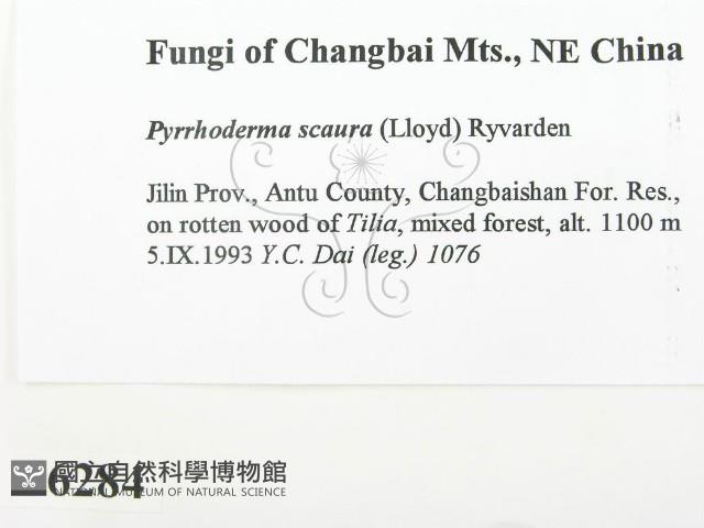 登錄號:F0006284藏品圖，第2張