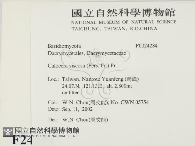 登錄號:F0024284藏品圖，第2張