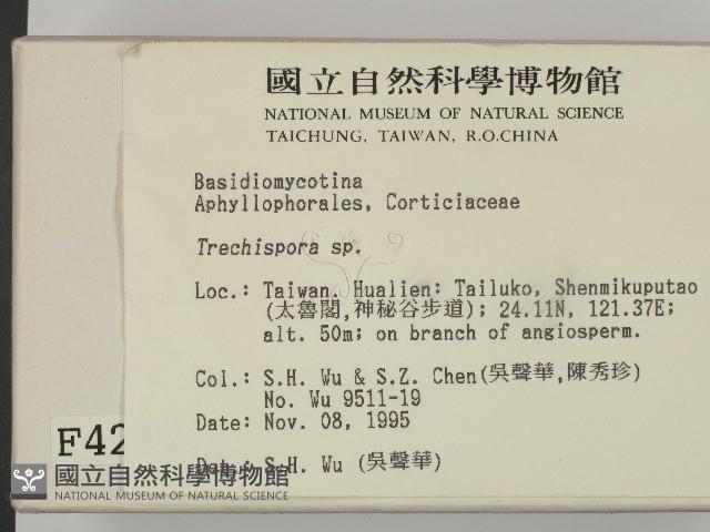 登錄號:F0004284藏品圖，第2張