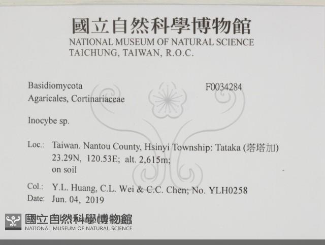 登錄號:F0034284藏品圖，第2張