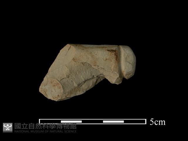 帶加工痕石材藏品圖，第1張