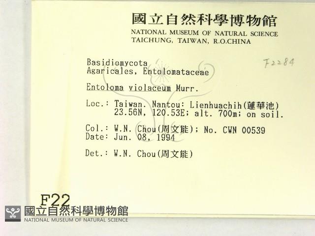 登錄號:F0002284藏品圖，第2張