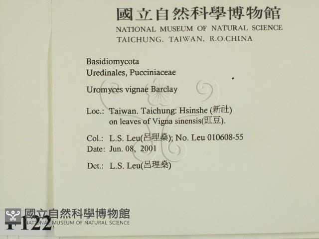 登錄號:F0012284藏品圖，第2張