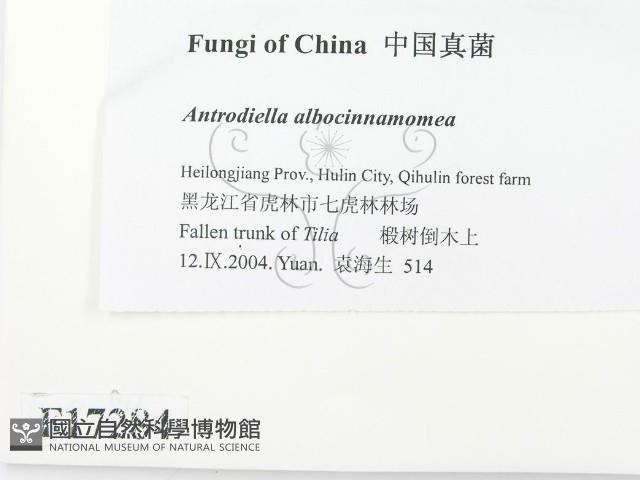 登錄號:F0017284藏品圖，第2張