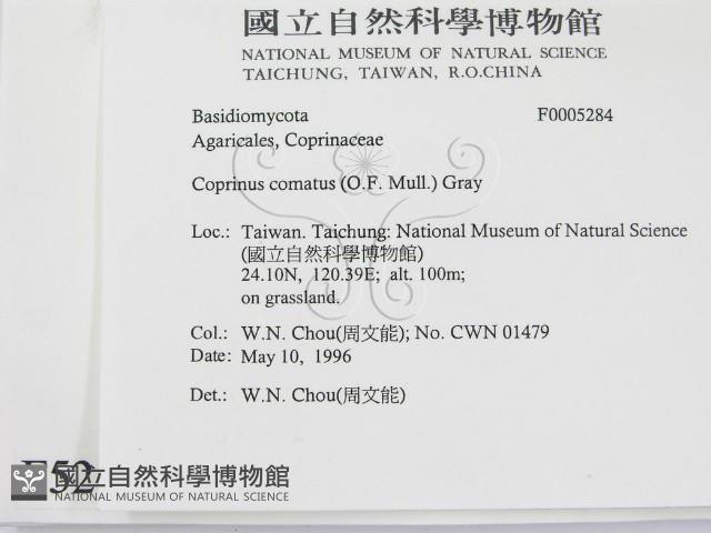 登錄號:F0005284藏品圖，第2張