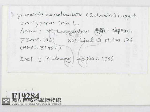 登錄號:F0019284藏品圖，第2張