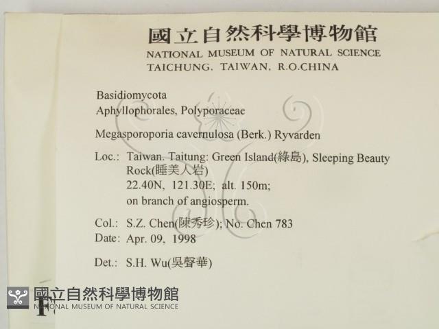 登錄號:F0008884藏品圖，第2張