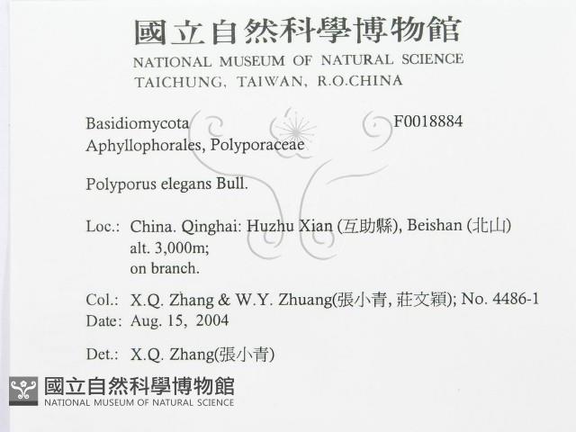登錄號:F0018884藏品圖，第2張